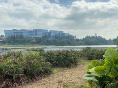 -华侨城湿地公园