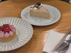 -猫里有甜