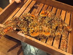 -余欢领鲜火锅(新街口店)