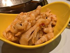 -润园四季椰子鸡火锅(卓越INTOWN店)