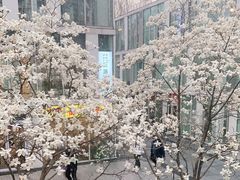 -俏湘私房菜(国贸店)