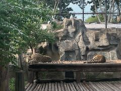 -石家庄市动物园