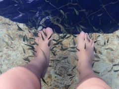 iphone_upload_pic-三亚亚龙湾凯莱仙人掌度假酒店