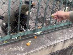 -秦皇岛野生动物园