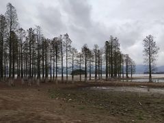 -四明湖