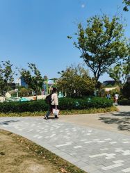 点击看大图 -季高兔窝窝亲子园(上海薰衣草公园店)