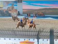 -塞罕坝国家级自然保护区