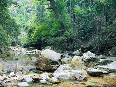 -鼎湖山风景区