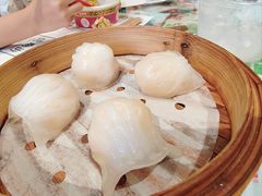 -憶廟街 X 沙角邨(太古城店)