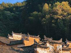 -杨家堂村