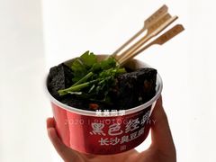 -黑色经典臭豆腐·湖南特产(坡子街店)