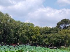 -北陵公园