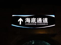 -大连圣亚海洋世界