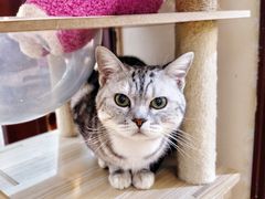 -觅时光手作·香薰·拼豆豆·陶艺DIY