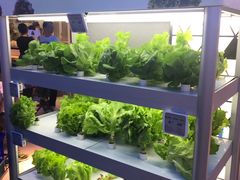 -盒马鲜生(大成店)