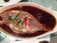 -王朝大酒店徐汇店-地面停车场