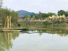 -天适樱花悠乐园