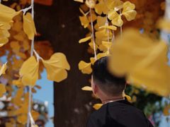 -歌斐颂巧克力小镇