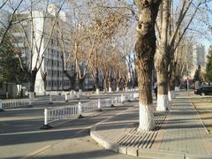 沈阳市摄影艺术家协会-东北大学(南湖校区)