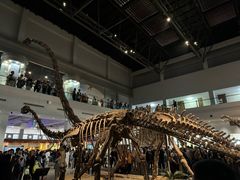 -自贡恐龙博物馆