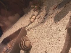 -常州海昌海洋探索馆