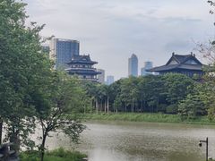 -海珠湖公园