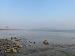 -深圳湾公园(南山区)