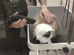 -FAELING PETS美天灵宠物(富力广场店)