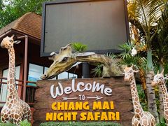 -清迈夜间动物园