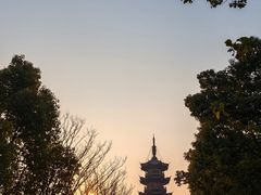 -龙华寺