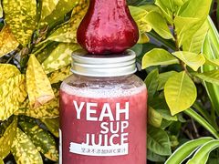 -野萃山·潮汕厚果汁(十亩地店)