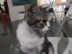 -一品格美术·中考高中成人美术培训