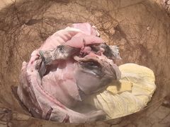 -滇大池云南菜·蒸汽石锅鱼(姚家园万象汇店)