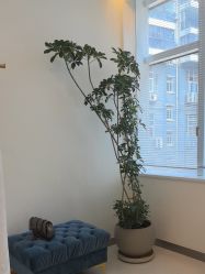 -彼家美创·量肤定制修护管理