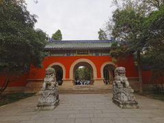 -灵谷景区