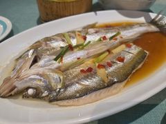 -西塘人家•黑金冠本地好店
