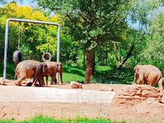 -北京野生动物园