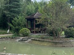 -祥源·阜阳生态乐园