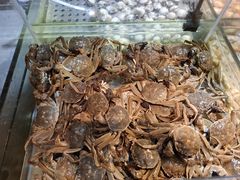 -领鲜活海鲜榴莲自助火锅(东门店)