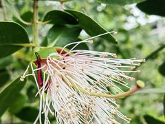 -福田红树林生态公园