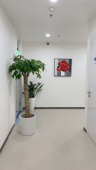 点击看大图 -丰联丽格医疗美容·联合丽格眼整形中心