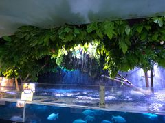 -成都浩海立方海洋公园