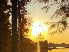-飞来湖湿地公园