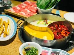 -青瓷火锅料理(西单大悦城店)