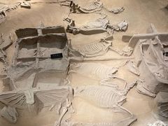 -洛阳周王城天子驾六博物馆