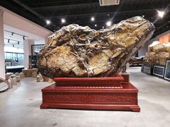 -游龙石文化科普馆