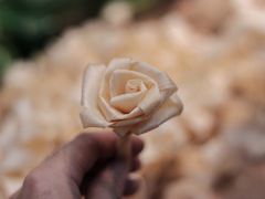 -五月木作·DIY木作文创体验店(北京路店)