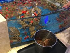 水产区-乔哥铭洋海鲜自助(皇城恒隆广场店)