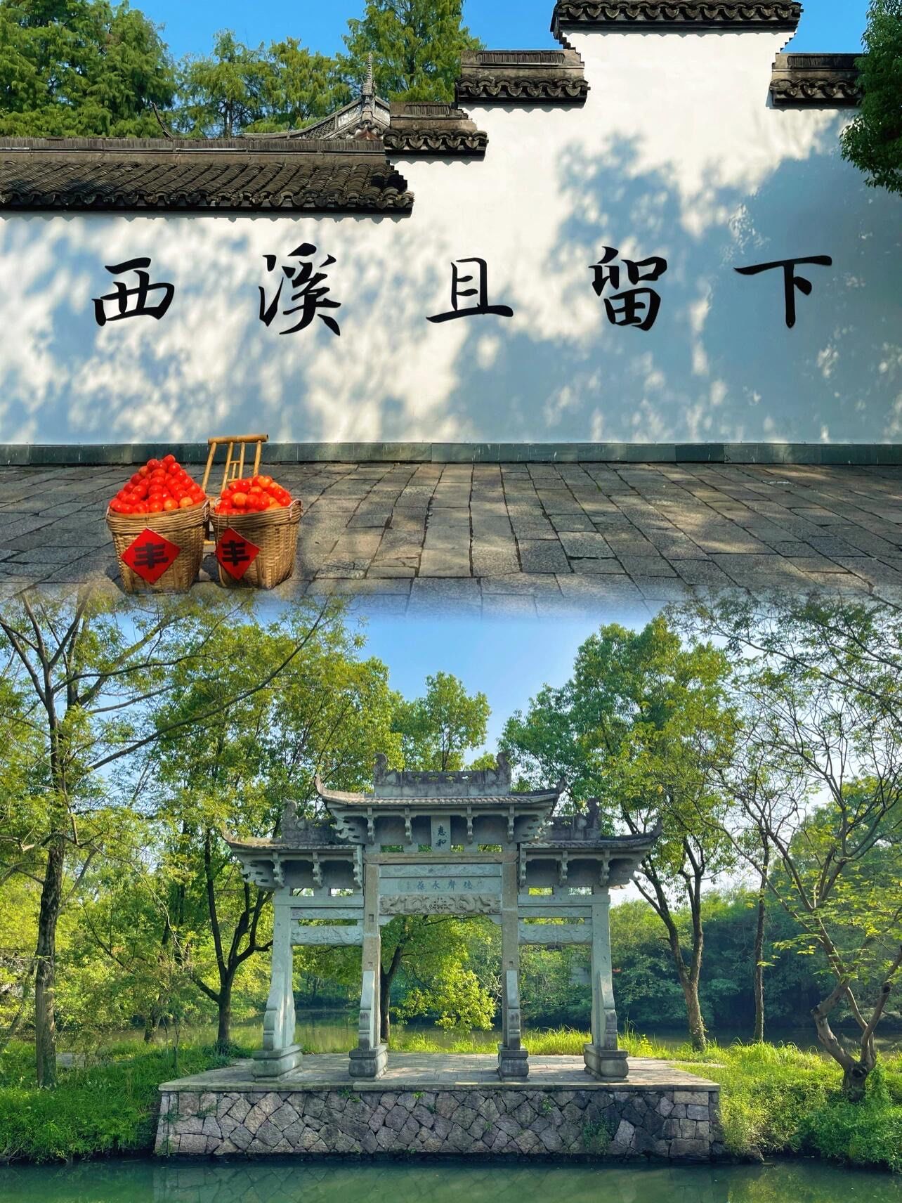 十月,总要来一趟满城桂花香的杭州吧!