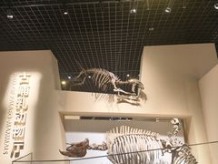 -国家自然博物馆